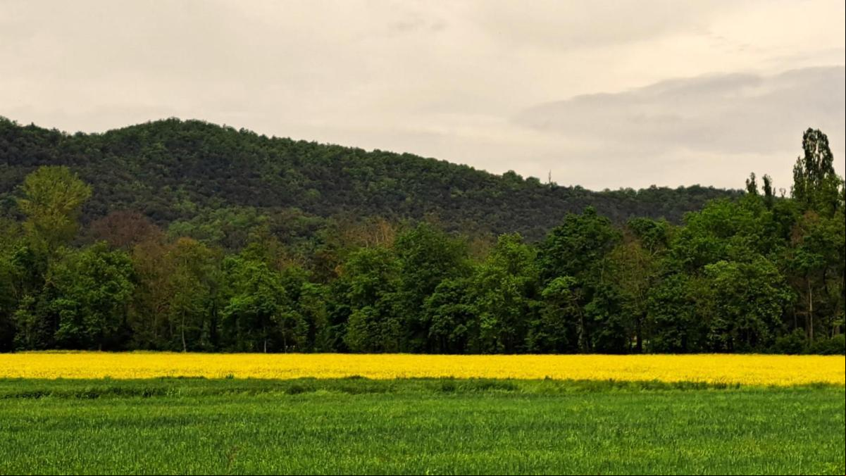 Las dos dimensiones de la Vall den Bas