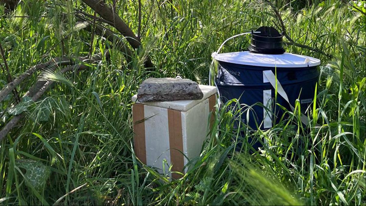 Adelantan la vigilancia del mosquito del virus del Nilo y aumentan las trampas instaladas en Andalucía
