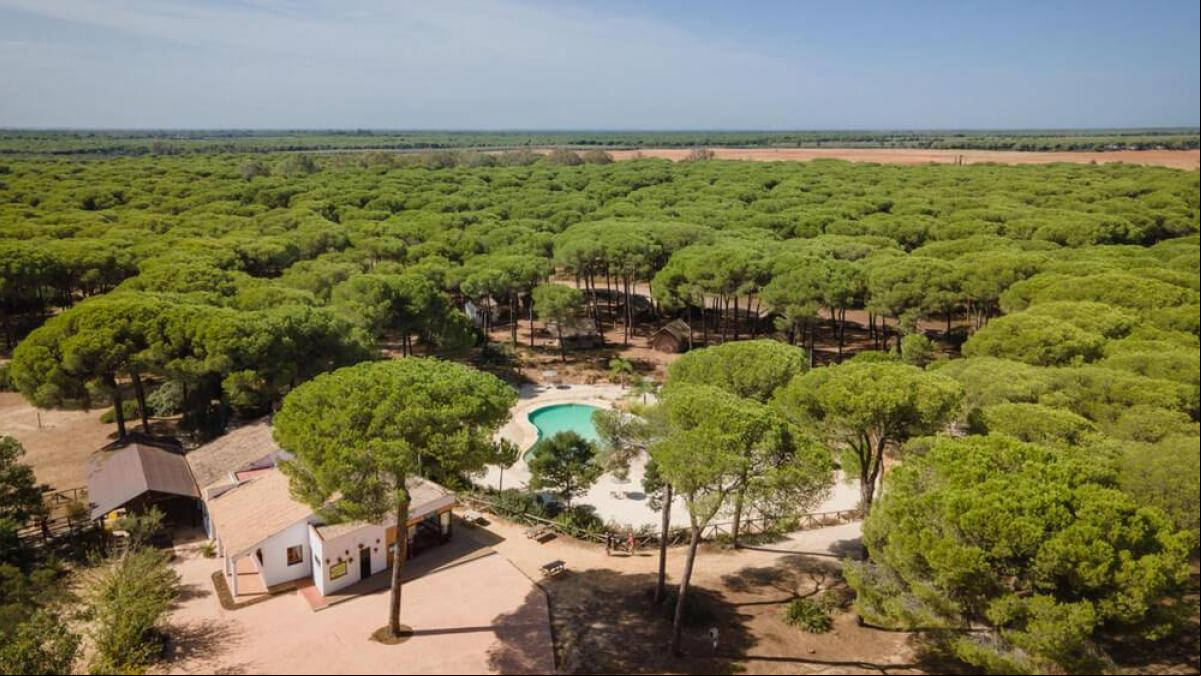 Un camping en el parque de Doñana, en las Rías de Galícia o en Lanzarote para una escapada de verano