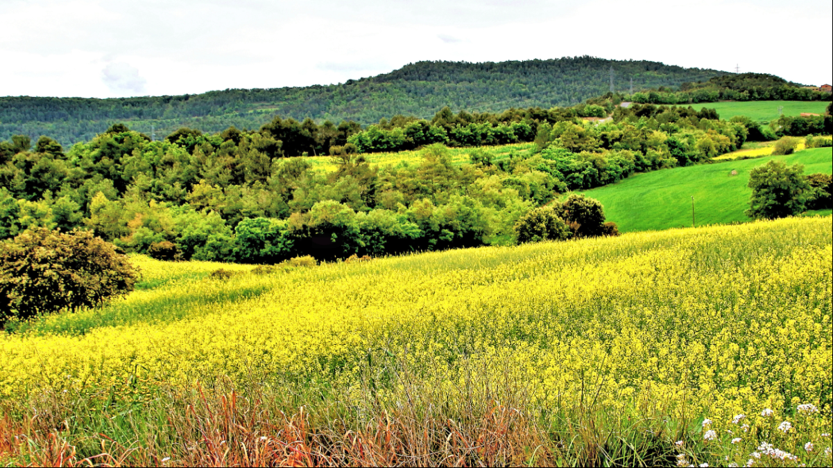 La Anoia reivindica su paisaje