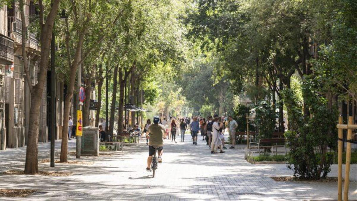 La sombra crece en el espacio público: más de 50.000 metros cuadrados hasta el 2027