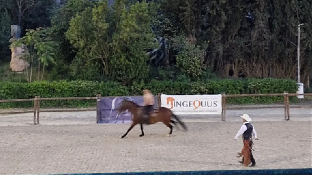Cowboys en Montjuïc