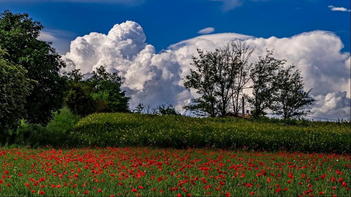 La primavera más rica de Vic
