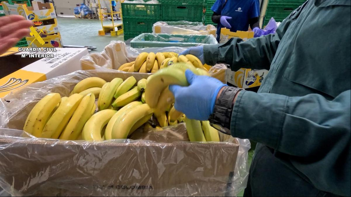 Una empresa de Alicante distribuye toneladas de banana como si fuera plátano de Canarias