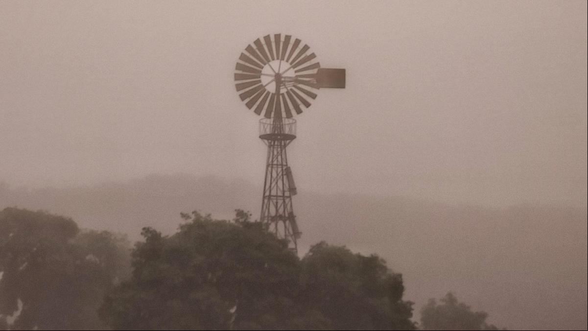 La niebla del Molí den Puigvert