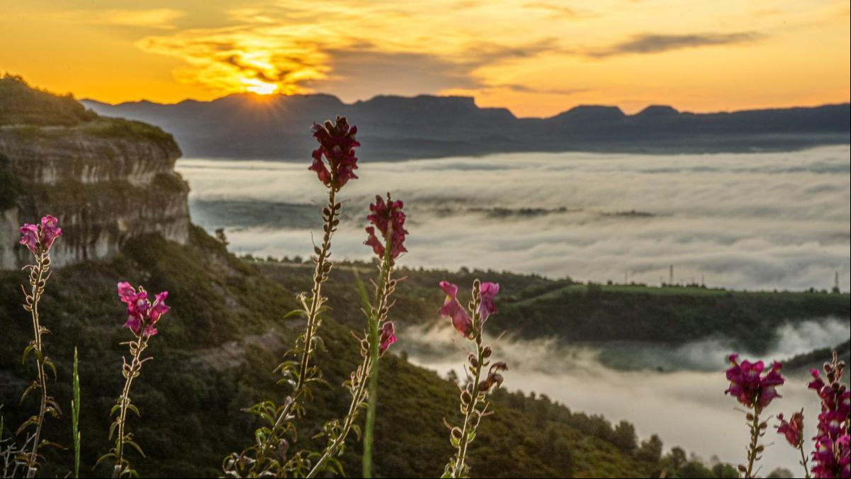 Amanecer primaveral made in Voltreganès