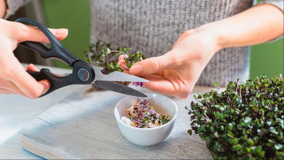 Tijeras de cocina dignas del mejor chef que puedes comprar en Amazon a buen precio