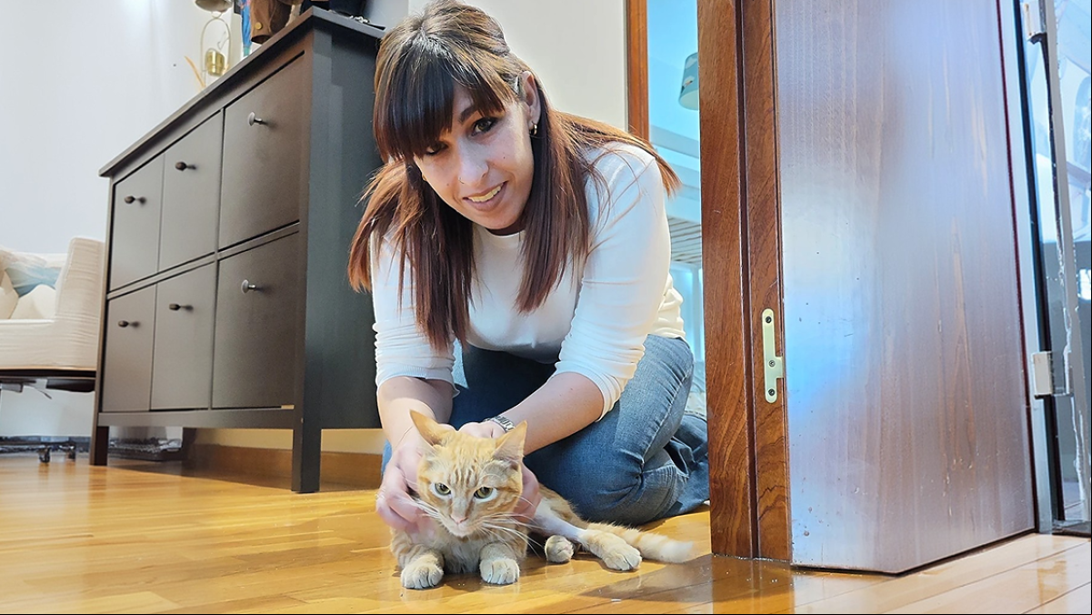 “Hoy, Dorito comienza una vida sin dolor y finalmente se convierte en lo que siempre debió ser: un cachorro de gato lleno de energía y ganas de vivir”