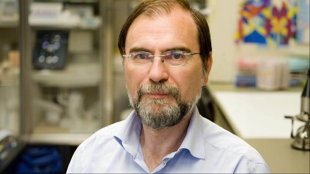 José María Ordovás, uno de los mayores especialistas en nutrigenética: “El colesterol se convirtió en el malo de la película; si lo tienes alto, no te alarmes, hay maneras de bajarlo”