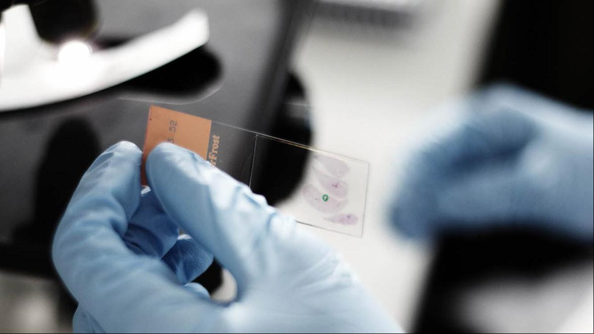 Las farmacéuticas españolas invierten 1.533 millones en I+D, un 6,6% más