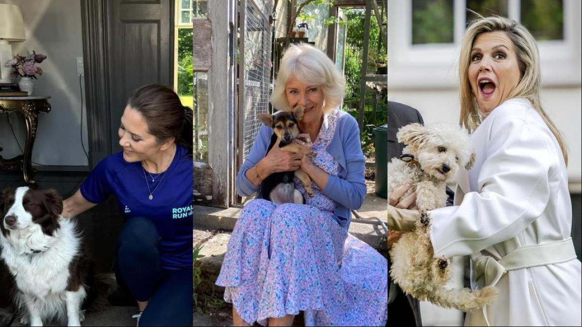 ‘Royals’ de cuatro patas: así son los perros de la realeza