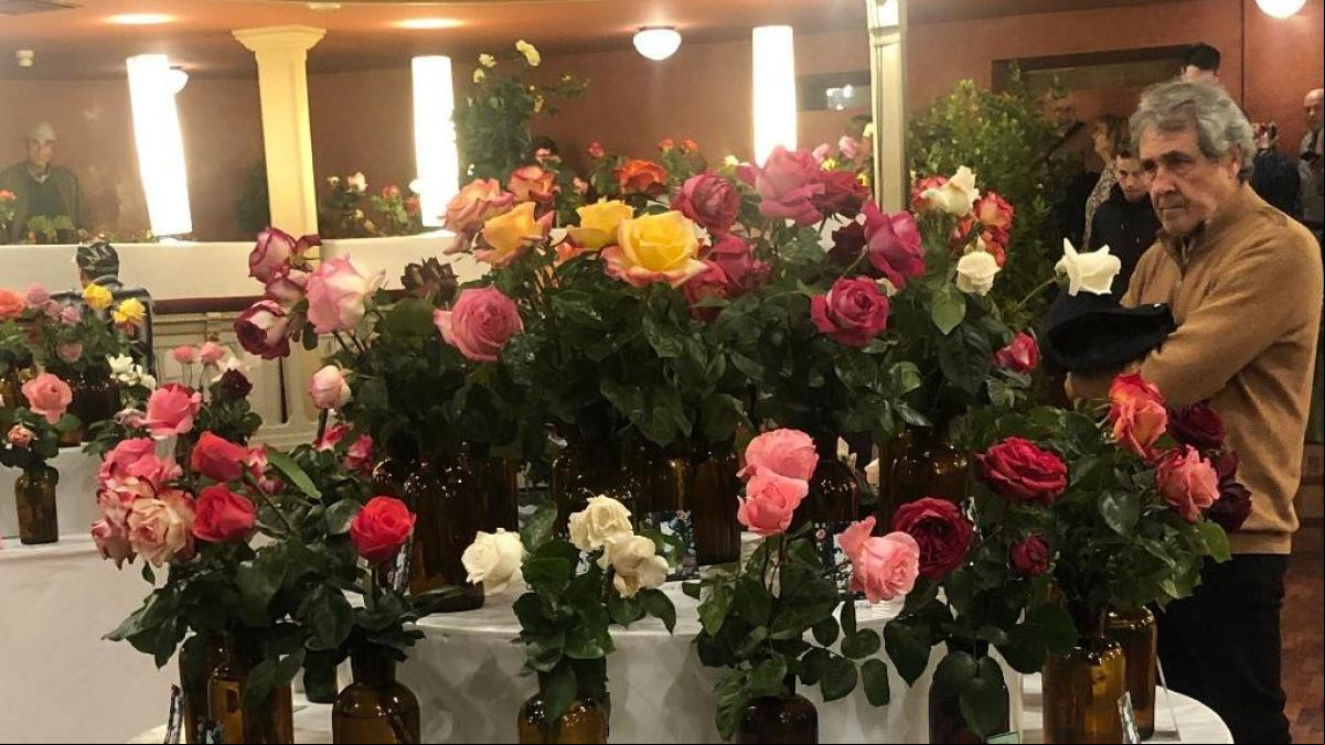 ¿Qué sería de la vida sin rosas? ¿Qué sería de la vida sin rosas?