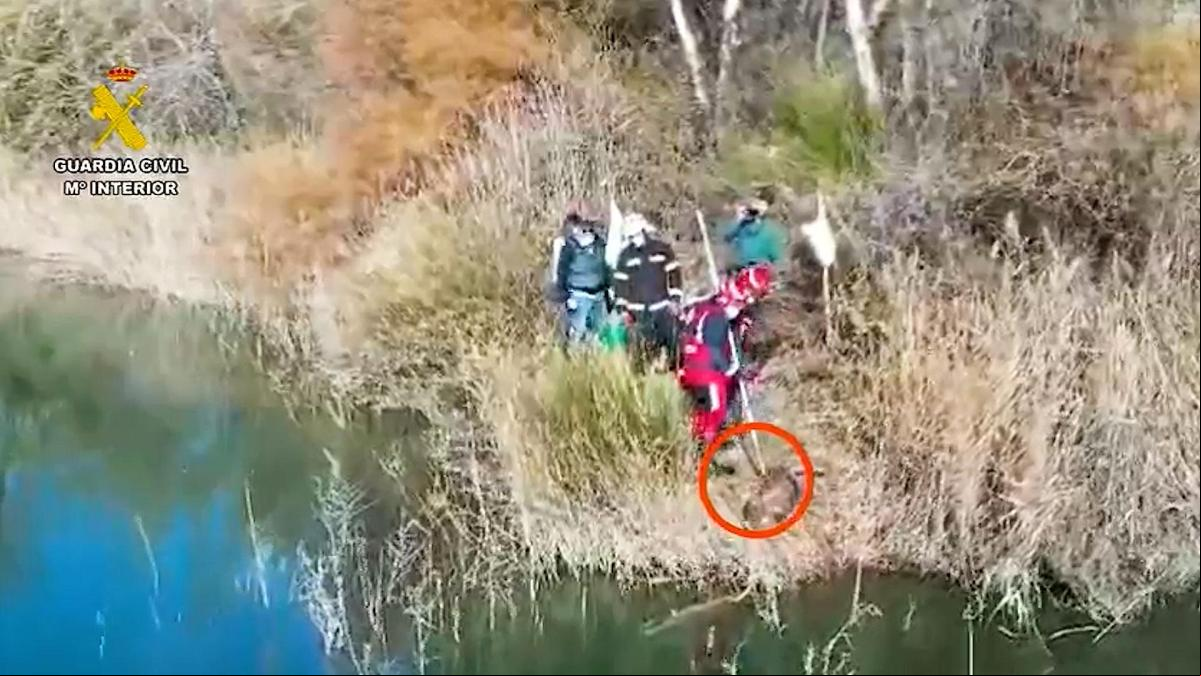 Un detenido tras el hallazgo de un perro ahogado y atado a bloques de hormigón en Arganda Un detenido tras el hallazgo de un perro ahogado y atado a bloques de hormigón en Arganda