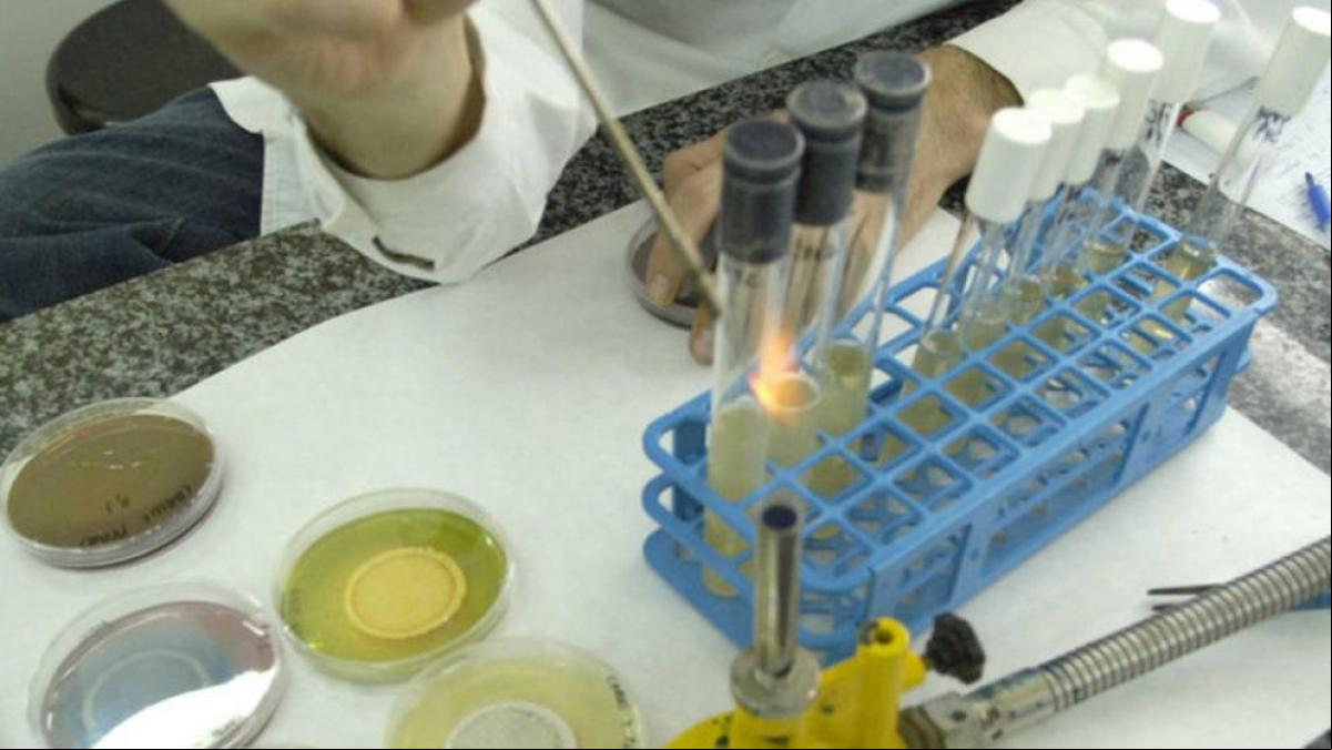 Los profesores de ciencias no quieren la fusión de materias en bachillerato en Catalunya