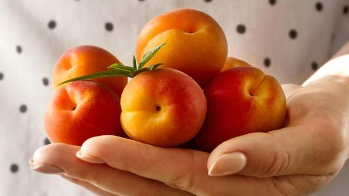 Albaricoque: descubre cuáles son sus beneficios y propiedades