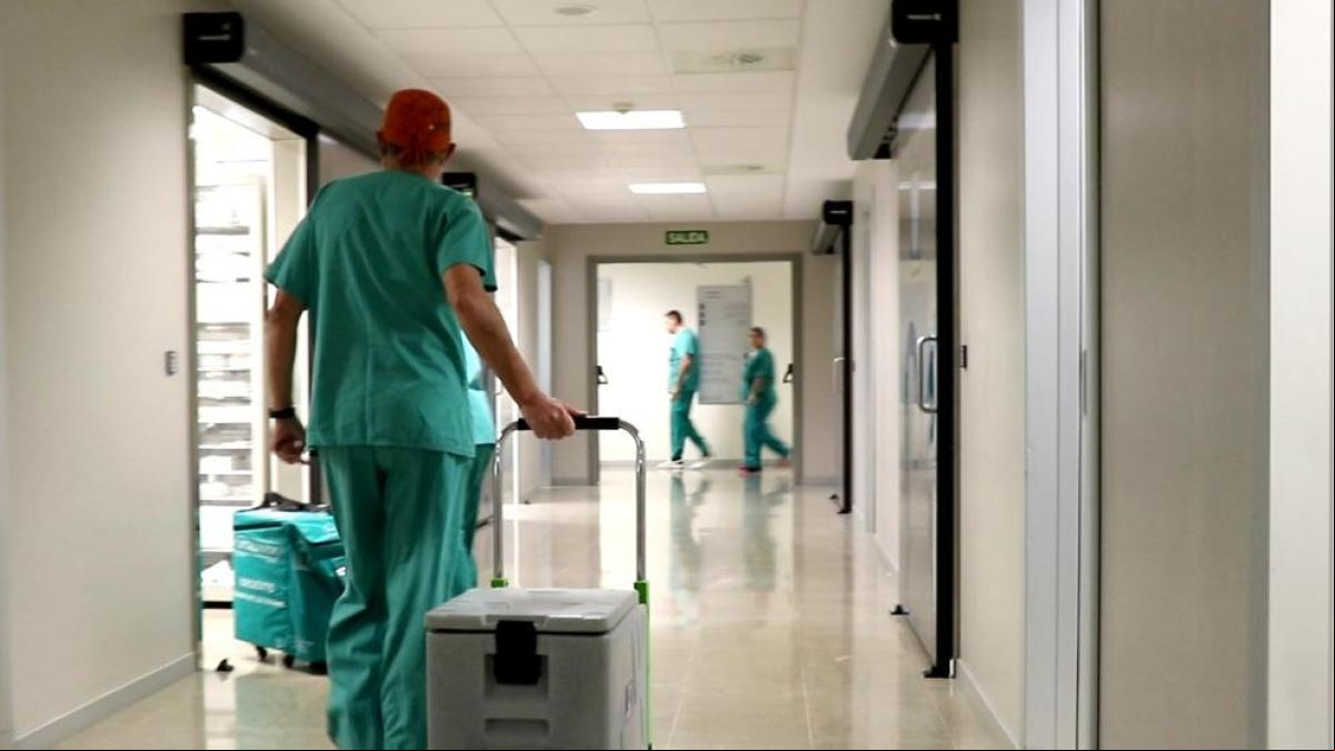 España pulveriza, de nuevo, el récord de trasplantes: casi 6.500, 17 al día en 2024
