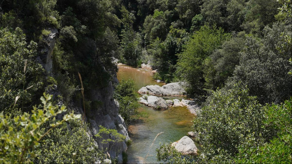 Muere una senderista al precipitarse por un torrente del río Muga, en la Alta Garrotxa