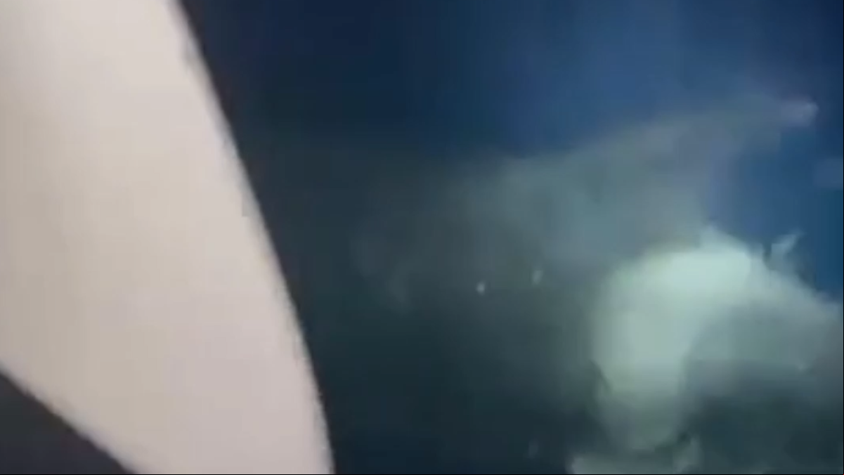 Vuelve la venganza de las orcas contra los barcos: dos incidentes en una semana