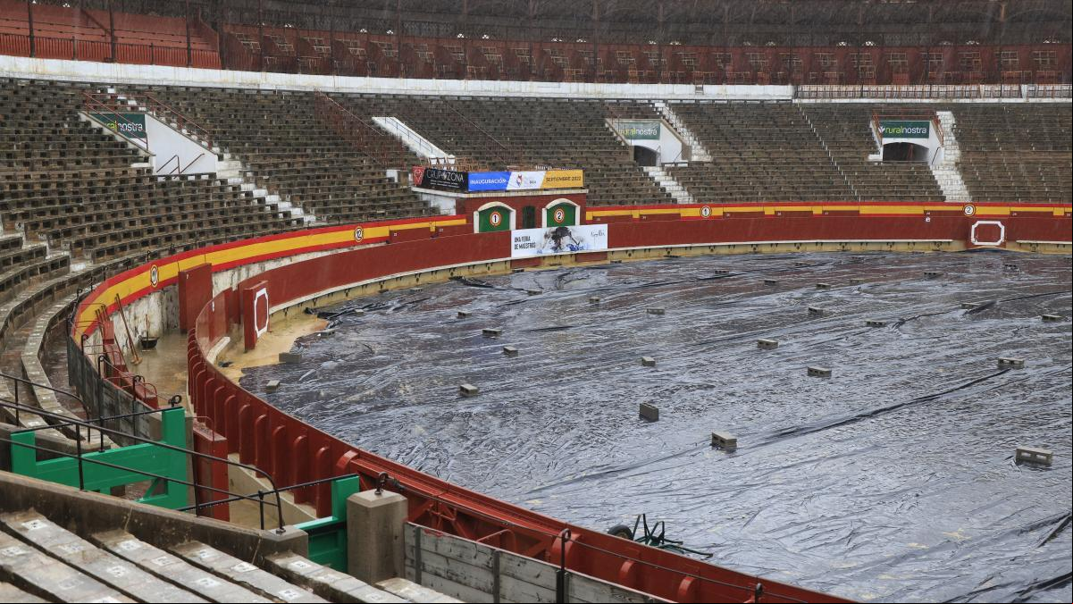 El temporal de lluvia y viento azota la Comunidad Valenciana y provoca cortes de tren y carretera