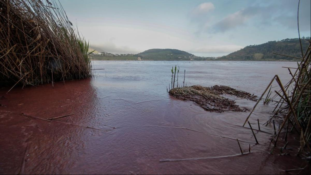 Un lago italiano se tiñe de rosa por la aparición de algas