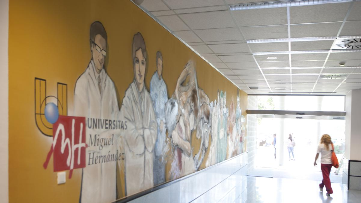 El rector de Elx califica de lamentable pérdida de recursos la facultad de Medicina de Alicante