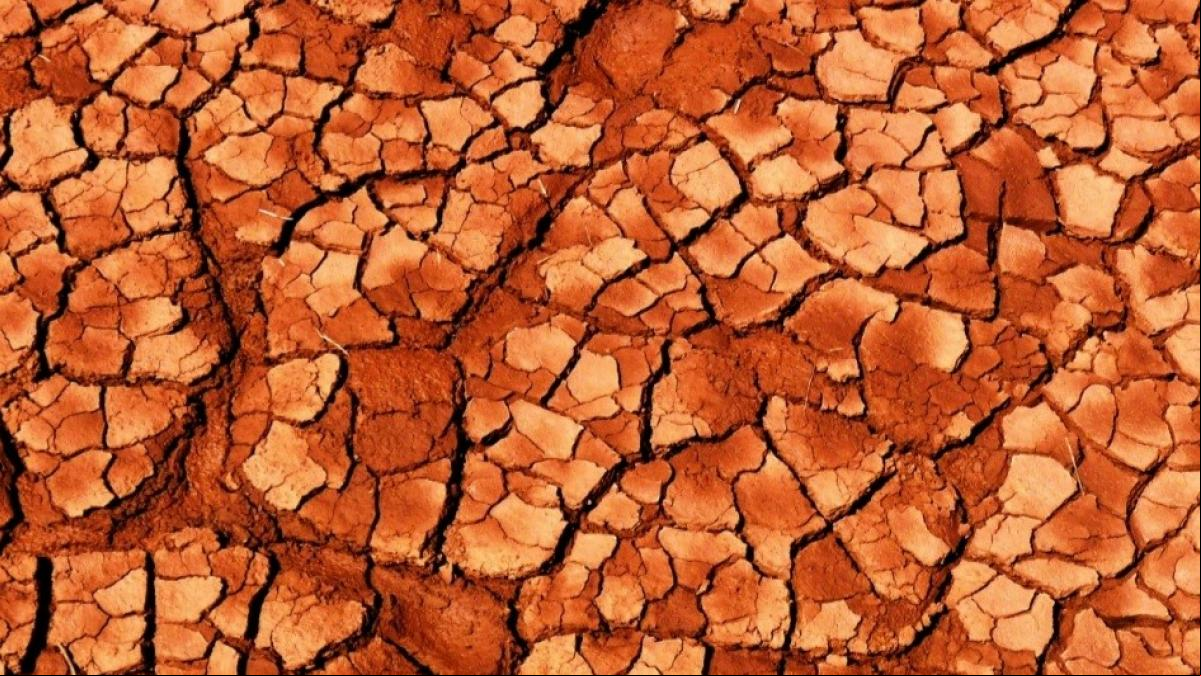 Espectaculares mosaicos naturales en La Baells