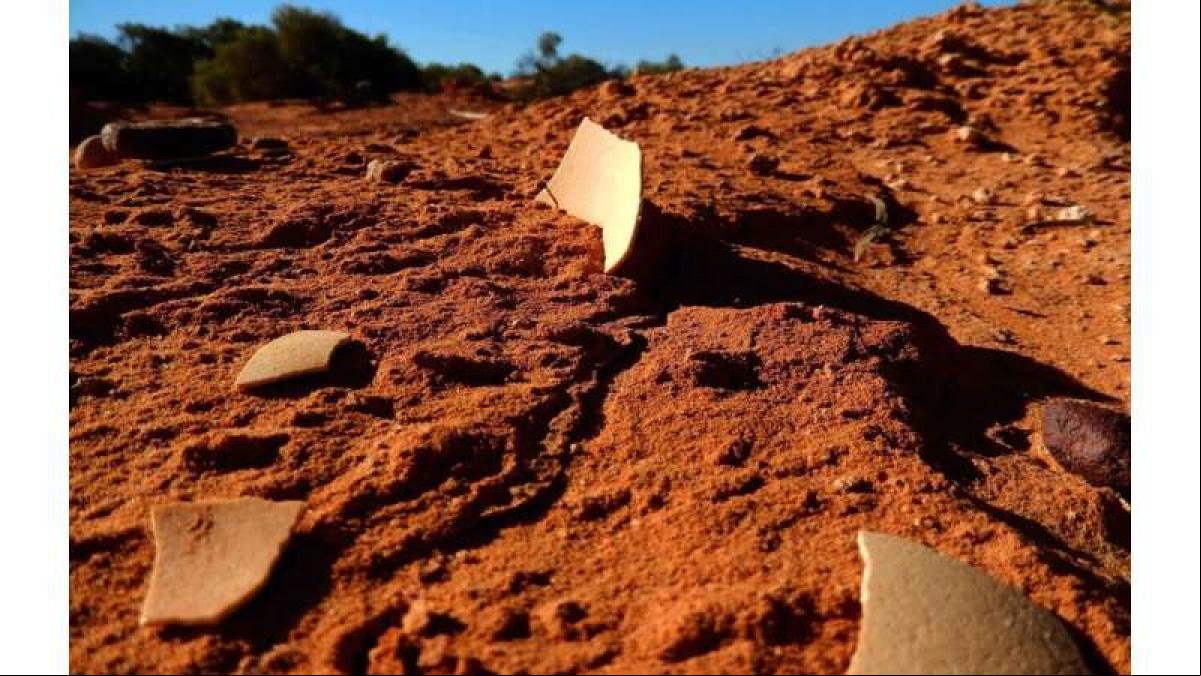 Los humanos ya criaban pollos hace 2400 años, según los últimos hallazgos