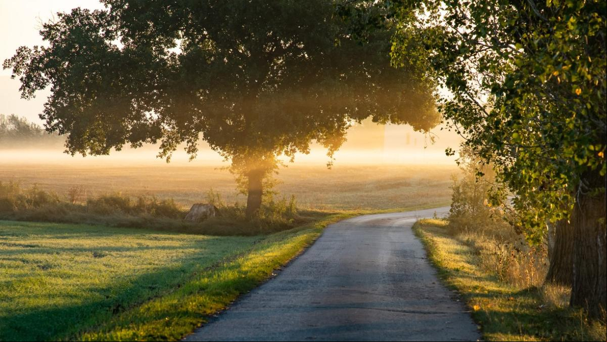 Mira cómo la neblina anuncia el otoño