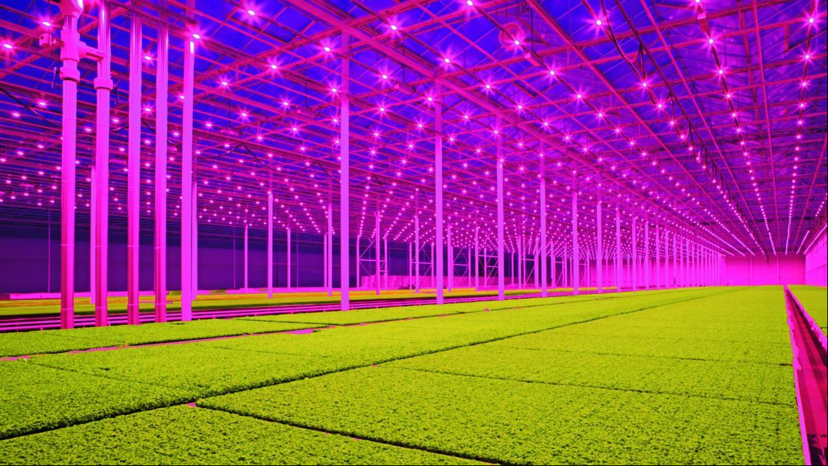 El boom global de los jóvenes y futuristas arquitectos españoles