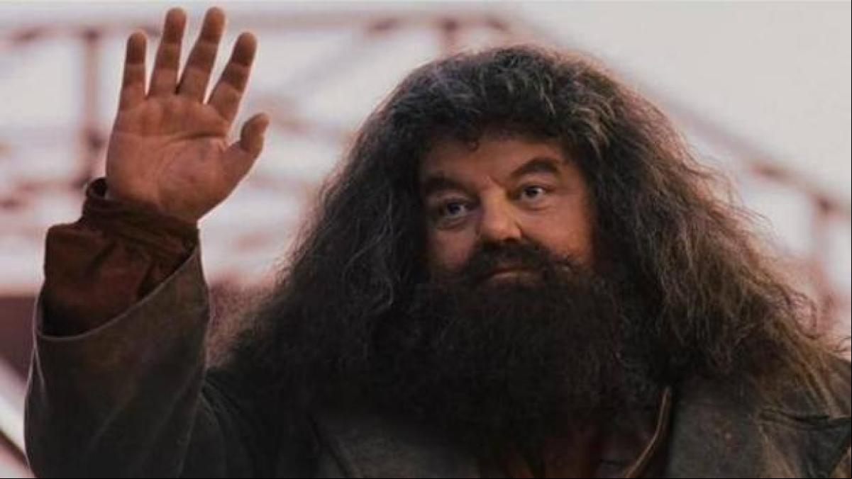 HBO podría haber encontrado un nuevo Hagrid para la serie de Harry Potter
