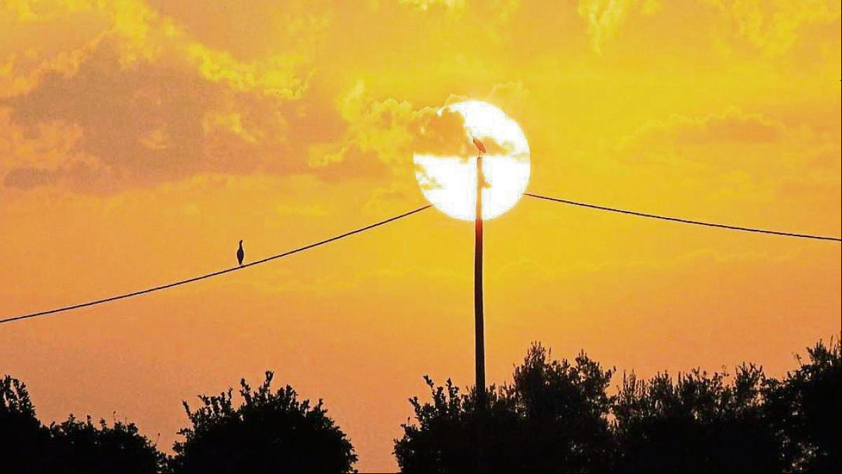 La calima se acostumbra al otoño en la Costa del Sol La calima se acostumbra al otoño en la Costa del Sol