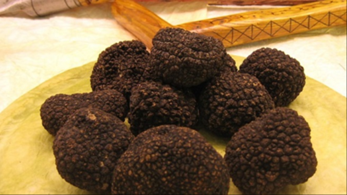 Recuperar y vender algarroba y trufa valenciana: un proyecto para impulsar la España vaciada