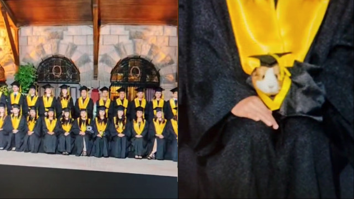 Licenciado Cuyo, la cobaya que se ha colado en una foto de graduación vestido con una túnica