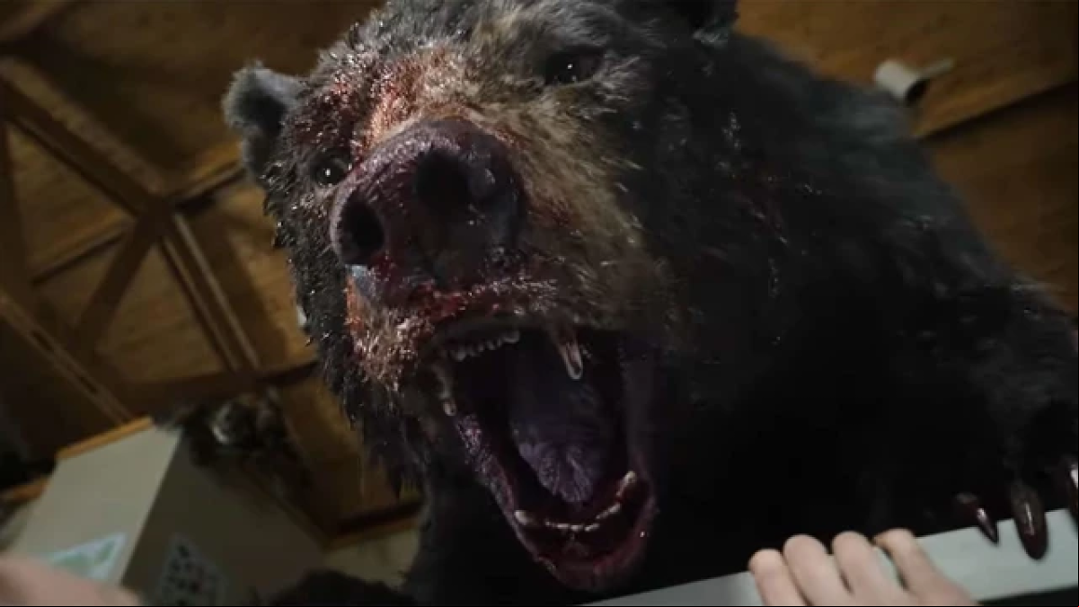 Un oso toma cocaína y comienza una matanza: ¿qué hay de verdad en la película Oso vicioso?