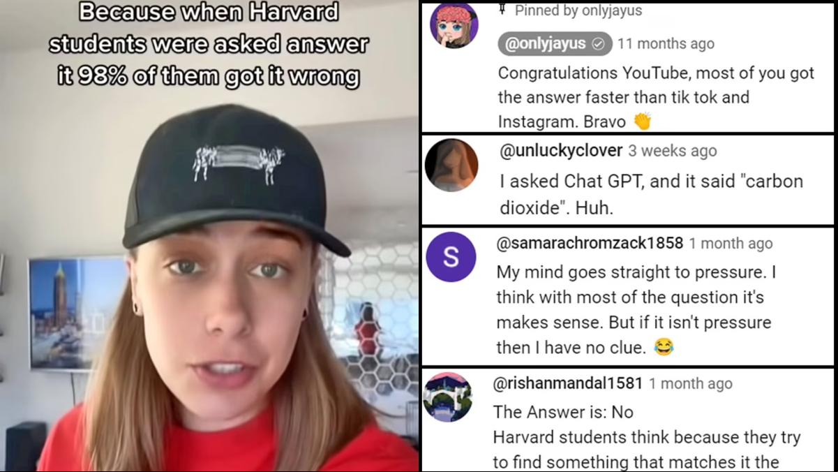 El acertijo con el que el 98% de los estudiantes de Harvard fracasan y el 83% de los niños de guardería resuelven, ¿puedes descifrarlo?