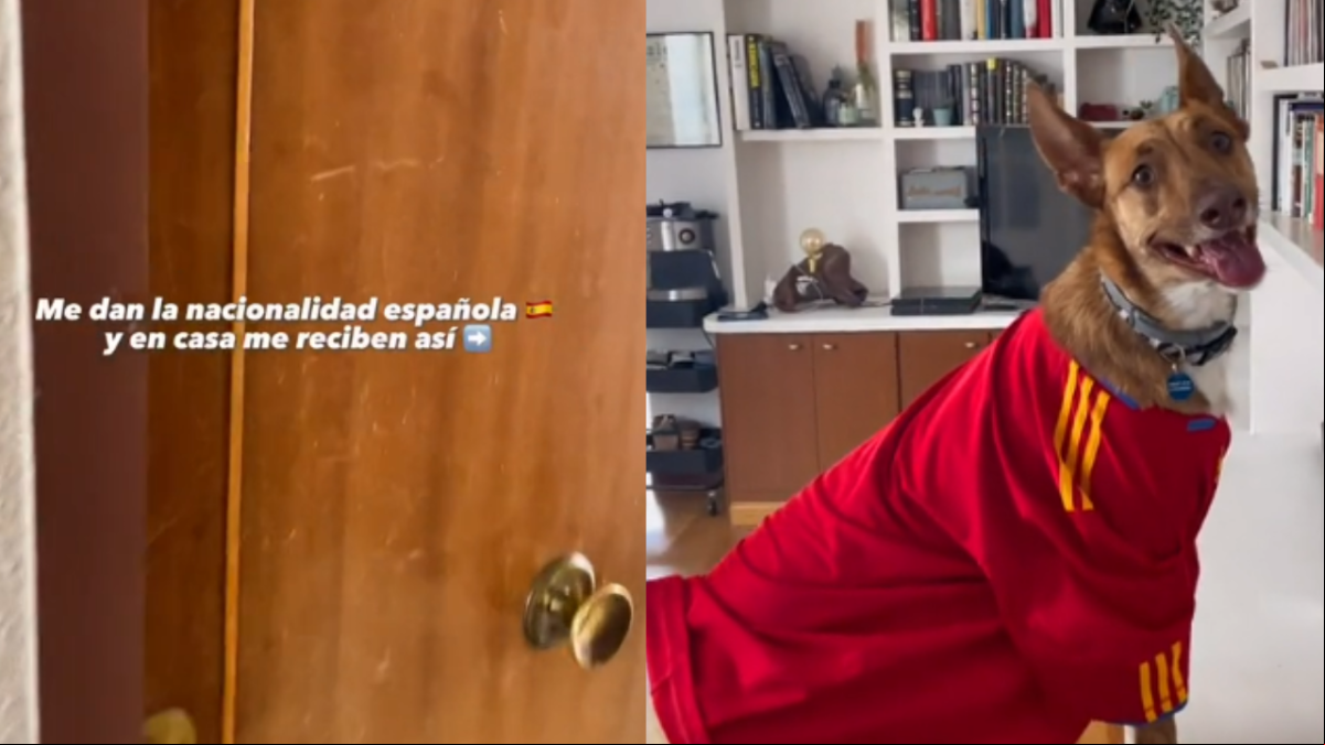 Le dan la nacionalidad española y su perro la recibe así: “El mejor perro de la historia”