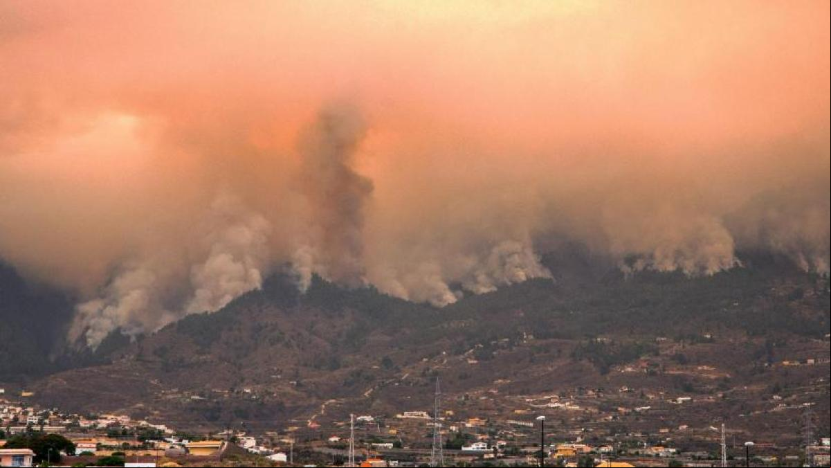 Tenerife: Cerca de 8.000 personas, evacuadas o confinadas por el incendio forestal en Tenerife