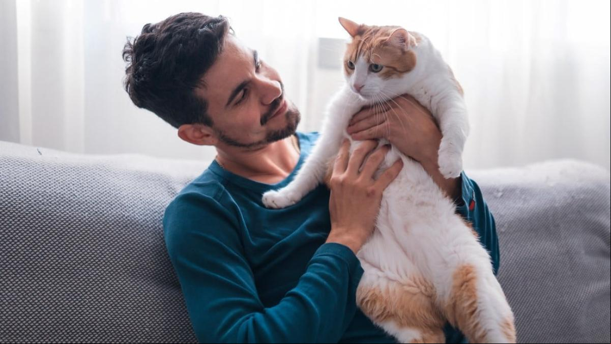¿Cuáles son los beneficios de tener perros y gatos? Desde mejorar la salud mental a la diabetes