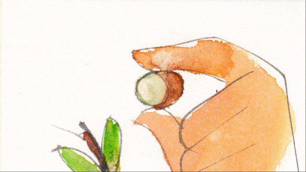 Una España de naranjas y castañas