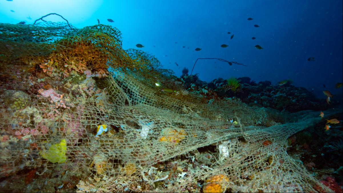 Descubren el efecto real y pernicioso de la pesca de arrastre en el calentamiento del planeta