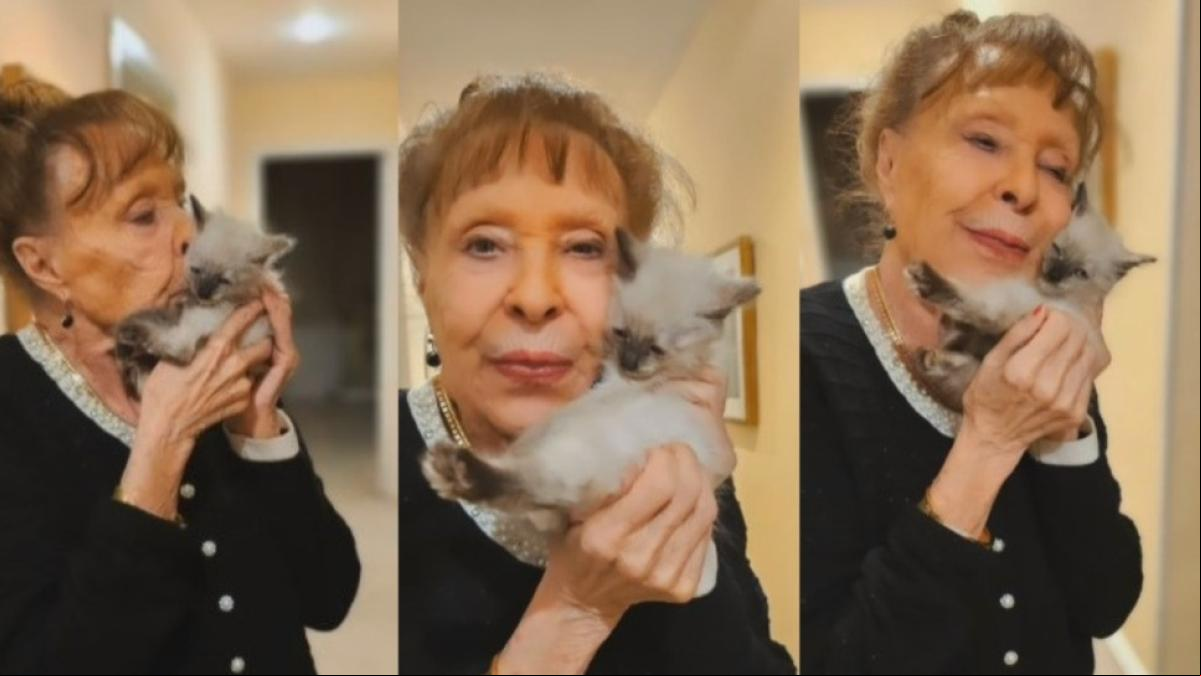 La actriz Gemma Cuervo enternece a sus seguidores al anunciar que ha adoptado una gatita: “Aún no tiene nombre”