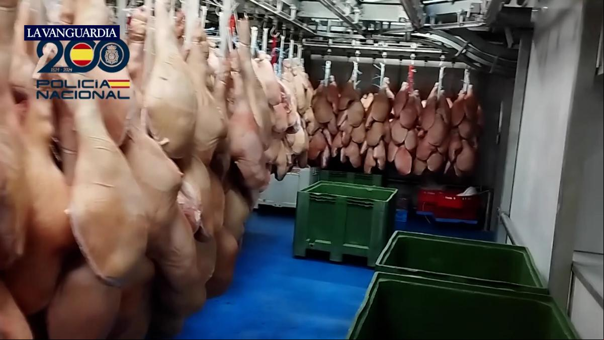Seis detenidos por estafar 17 millones de euros exportando jamones con sellos sanitarios falsos
