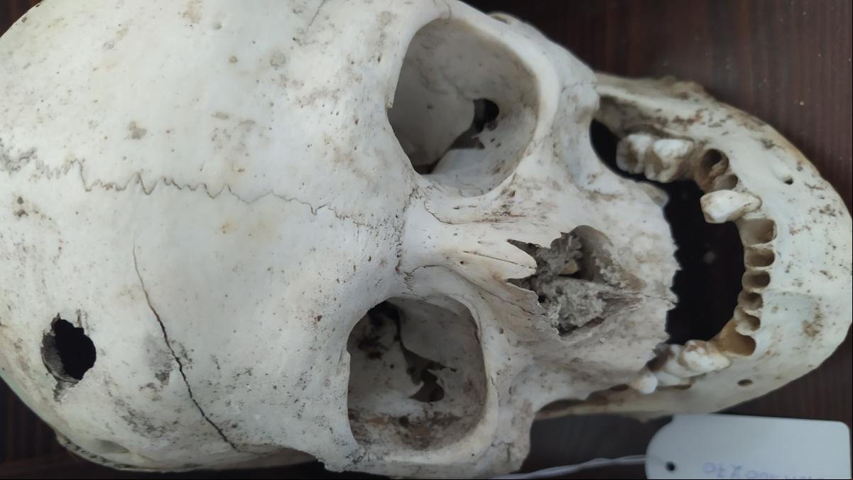 Los 18 de Adele: los civiles que cavaron su tumba antes de ser asesinados por los nazis en Creta