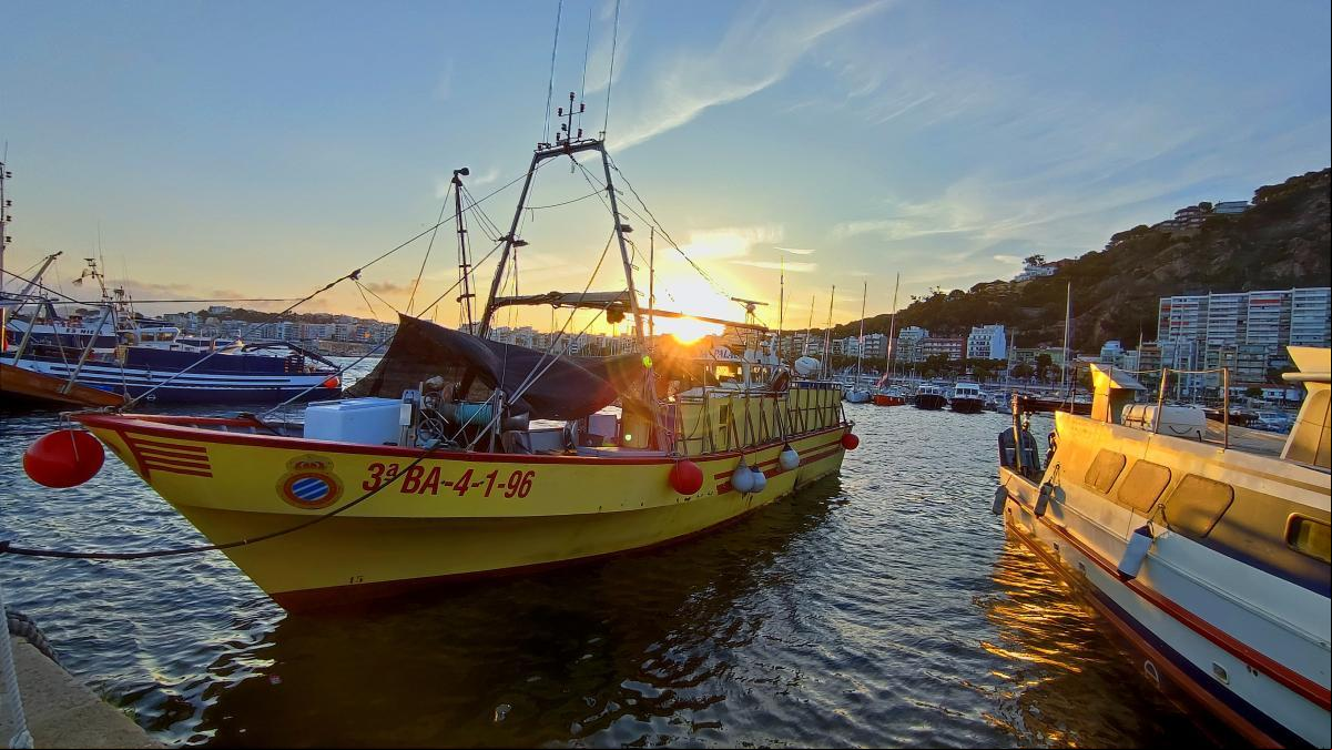 El barco periquito del puerto de Blanes