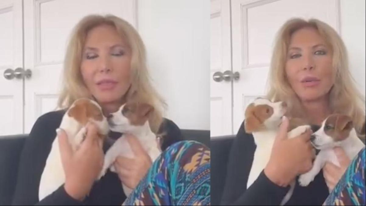 Críticas a Norma Duval en la presentación de sus nuevas perritas