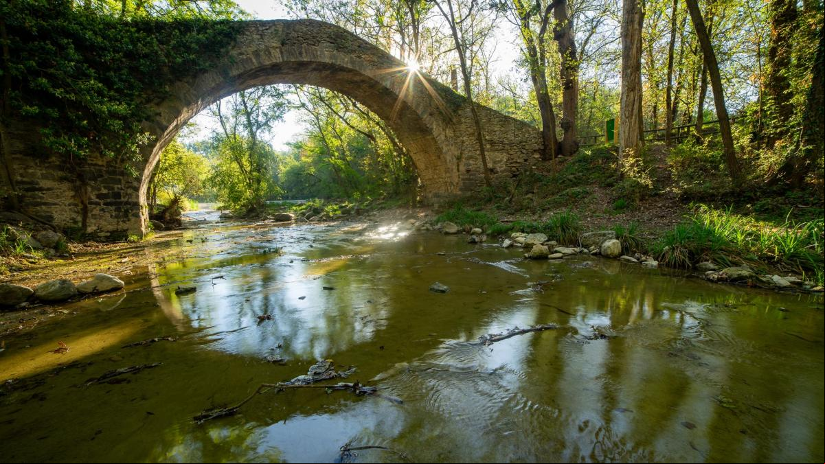 Escasez de agua bajo el puente de la Riera
