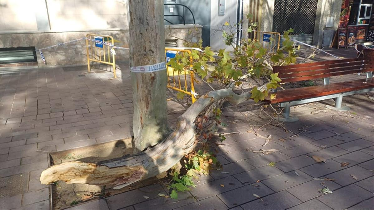 El temporal de viento se hace notar en Catalunya