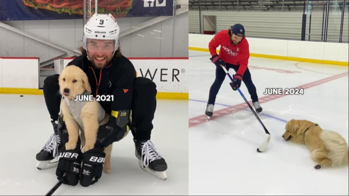 Enseña la evolución de su golden retriever como jugador de hockey y las redes alucinan: “La pista de hielo es su recreo”