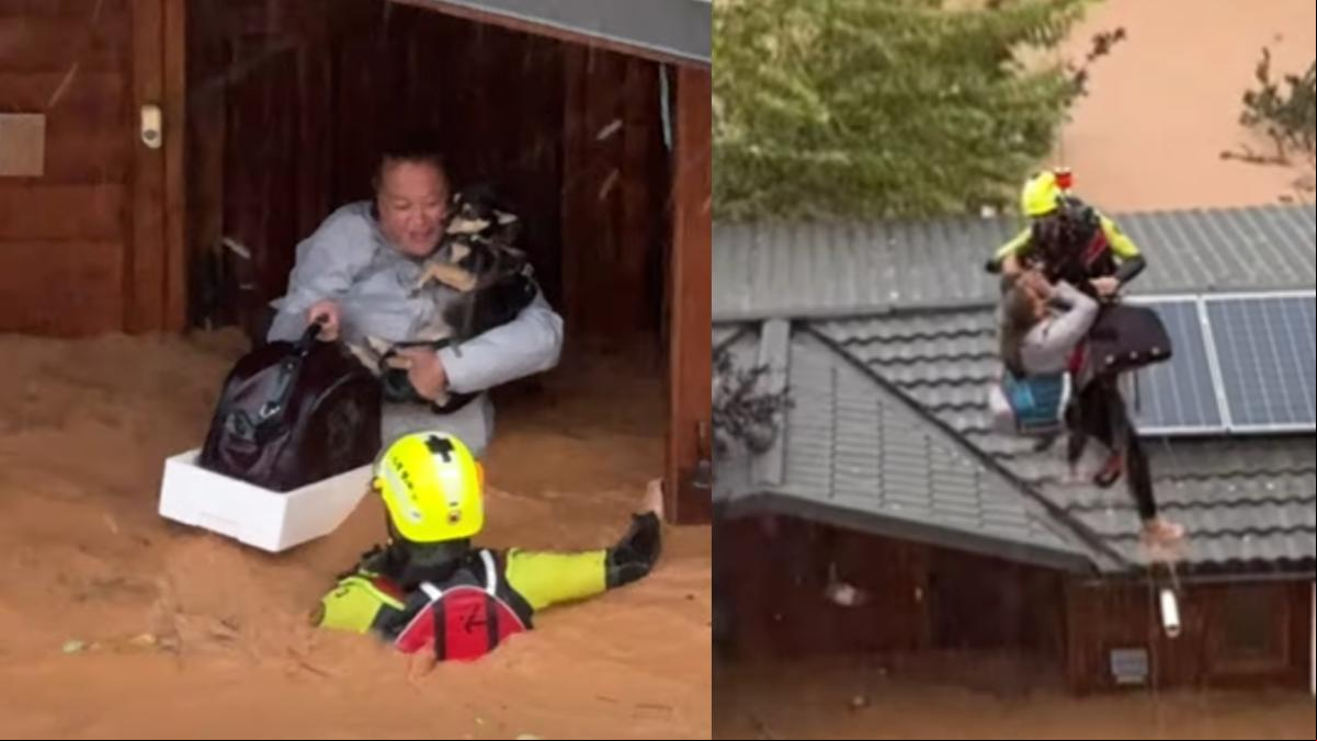 El angustioso rescate de una mujer y sus mascotas en Utiel tras quedar atrapada por la DANA en València