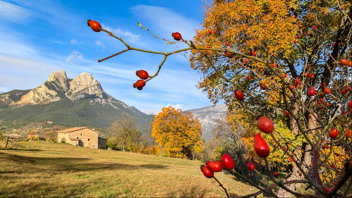 El otoño formidable del Pedraforca